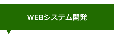 WEBシステム開発